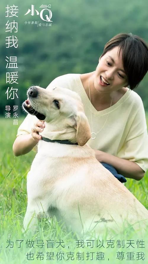鹿特丹伊拉斯谟大学商科文凭证书
